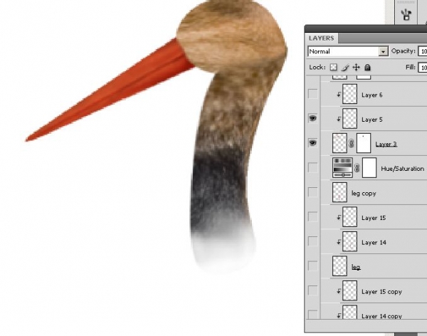 Creation of Stork: Step 4